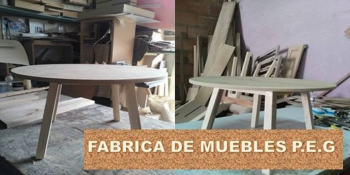 FABRICA DE MUEBLES P.E.G