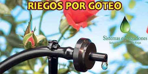 SISTEMA DE RIEGO POR GOTEO Y ASPERSIÓN