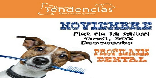 Estética Canina Mascotas Tendencias Norte Cali  