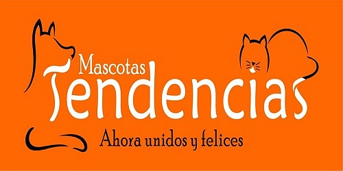 Estética Canina Mascotas Tendencias Norte Cali  