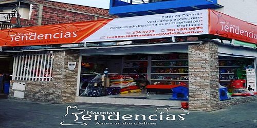 Estética Canina Mascotas Tendencias Norte Cali  