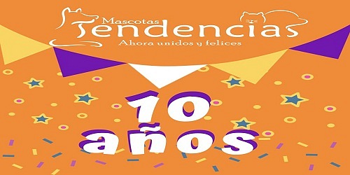 Estética Canina Mascotas Tendencias Norte Cali  