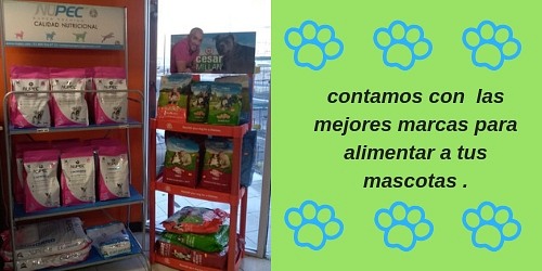 Huellas Veterinaria