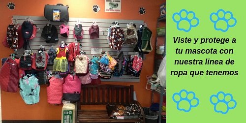 Huellas Veterinaria