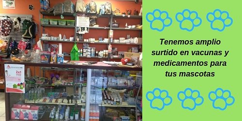 Huellas Veterinaria