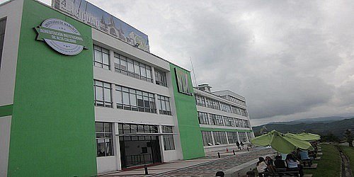 Universidad de Manizales Doctorados Maestrias Diplomados