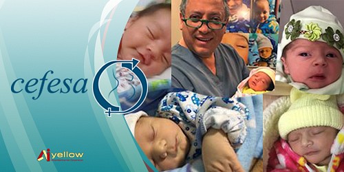 Dr. Fabian Palacios T. GINECOLOGO / OBSTETRA -  CEFESA