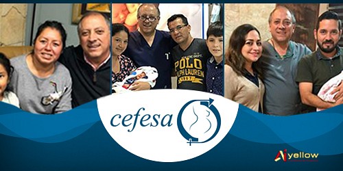Dr. Fabian Palacios T. GINECOLOGO / OBSTETRA -  CEFESA