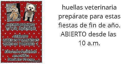 Huellas Veterinaria
