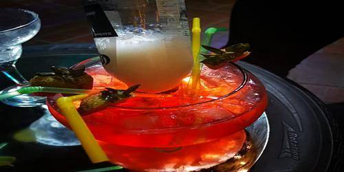 BARTENDER cocktails