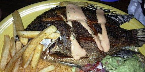 La Tilapia Dorada - Yahuarcocha