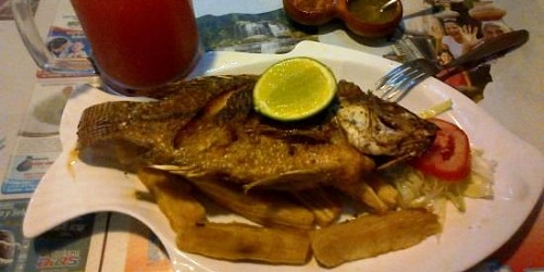 La Tilapia Dorada - Yahuarcocha