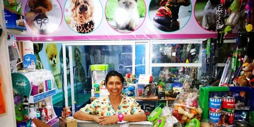 Skylaki Peluquería Canina