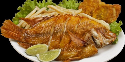 SURTIKUAN PARRILLA EXPRESS