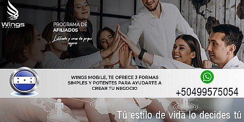 WINGS 