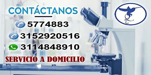 LABORATORIO CLINICO BIODX CUCUTA BIODIAGNOSTICO