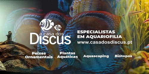 Casa dos Discus | Aquariofilia e Peixes Exóticos | Odivelas