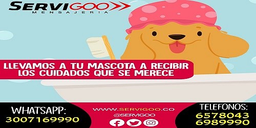 Mensajeria Bucaramanga Servigoo