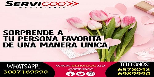 Mensajeria Bucaramanga Servigoo