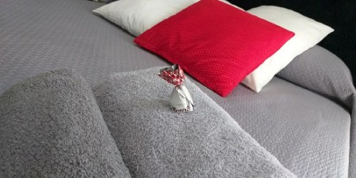 JANMAR GUEST HOUSE