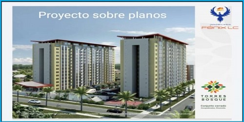 Inmobiliaria Fenix LC